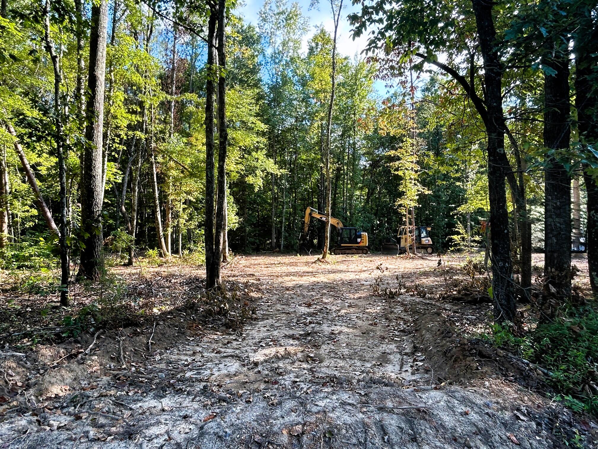 3 Pleasant Hill Road Ten Mile, TN 37880 - Photo 6 of 8 Ready to build!