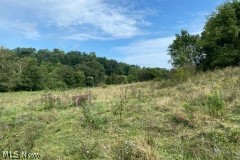 Johnny Woods River Road Cumberland, OH 43732 - Photo 6 of 10