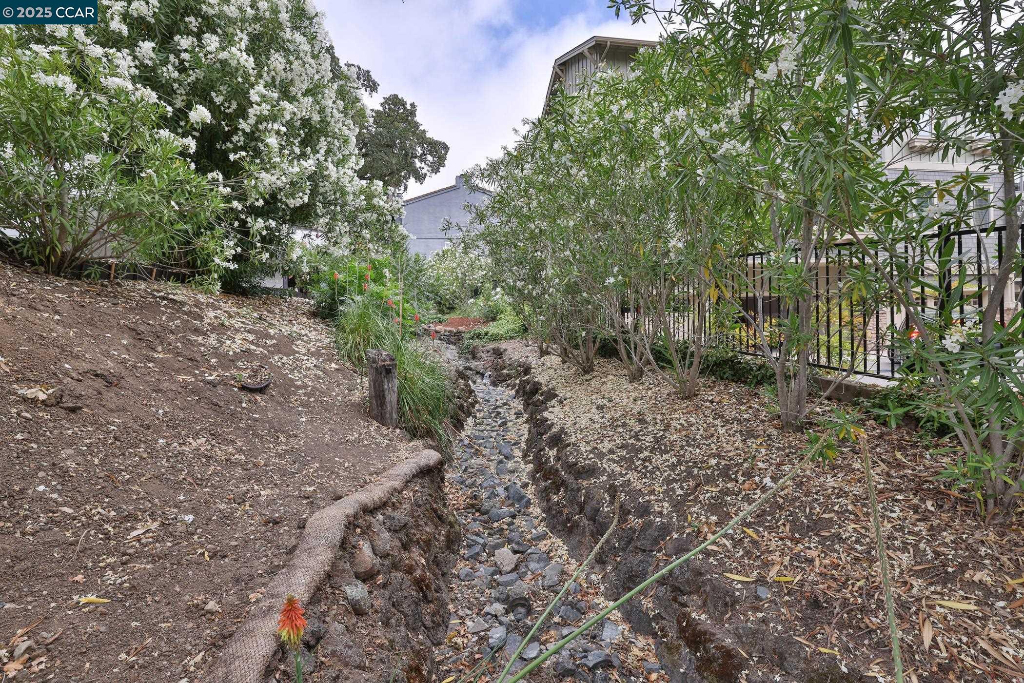 946 Risa Road, Unit A Lafayette, CA 94549 - Photo 13 of 17 a view of a yard with plants and trees