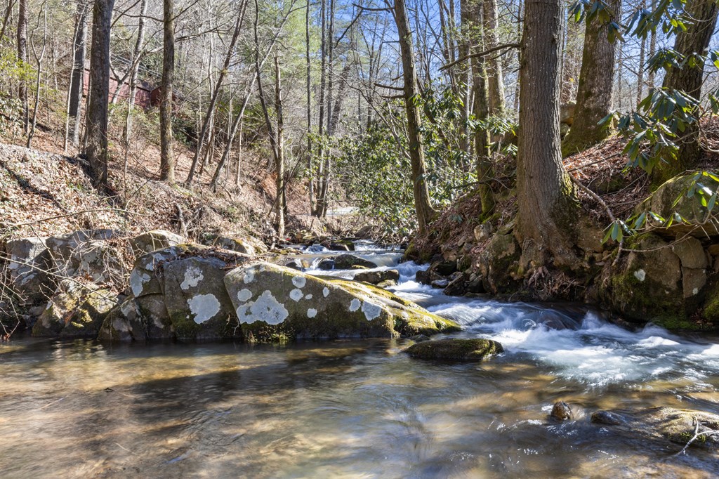 106 Little Rock Creek Road Cherry Log, GA 30522 - Photo 4 of 95