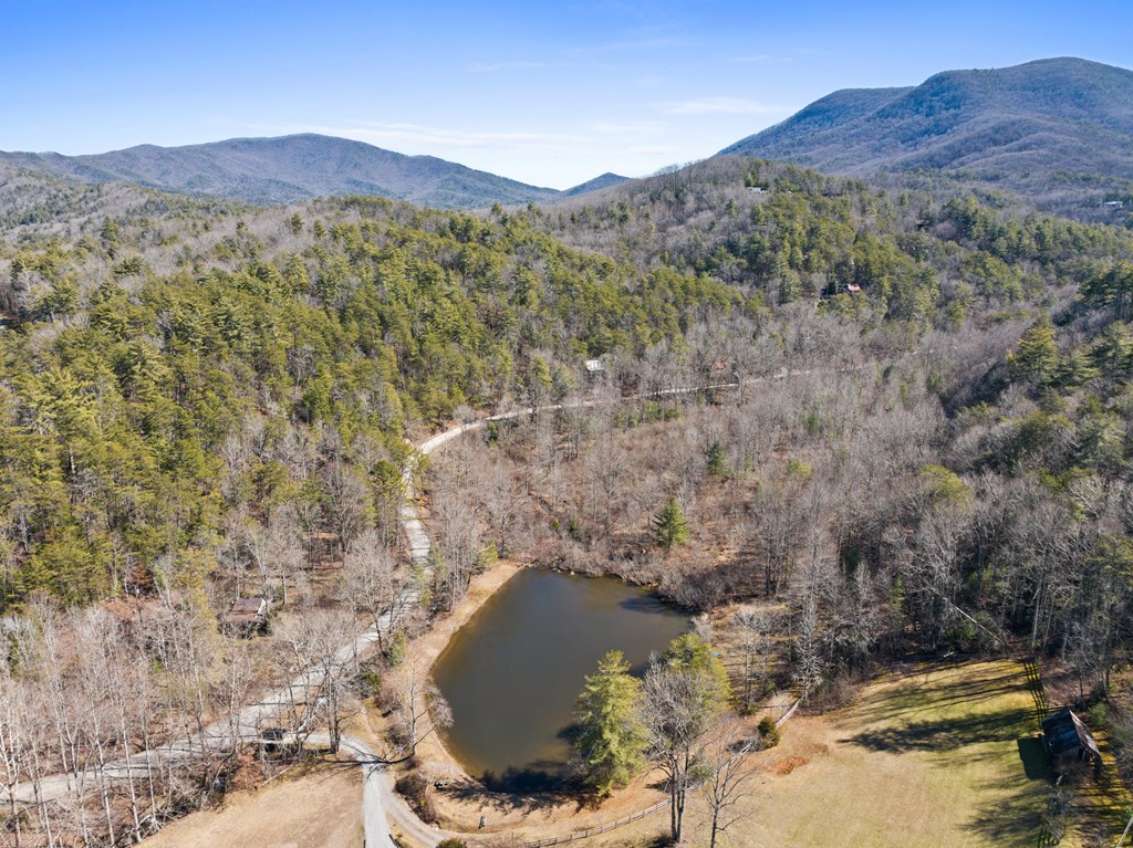 106 Little Rock Creek Road Cherry Log, GA 30522 - Photo 41 of 95