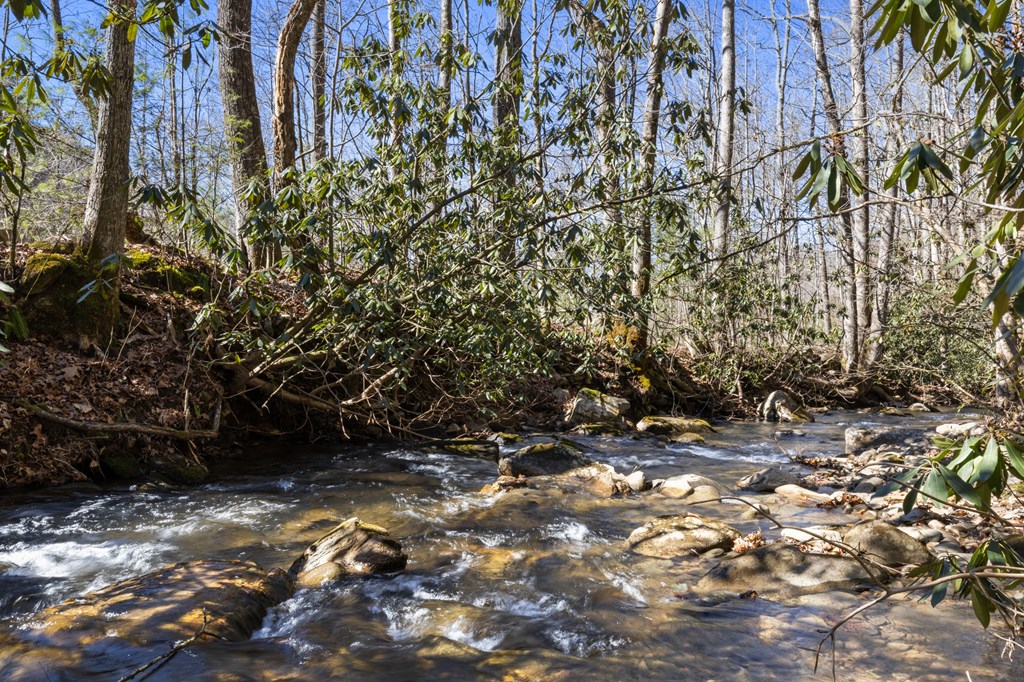106 Little Rock Creek Road Cherry Log, GA 30522 - Photo 44 of 95