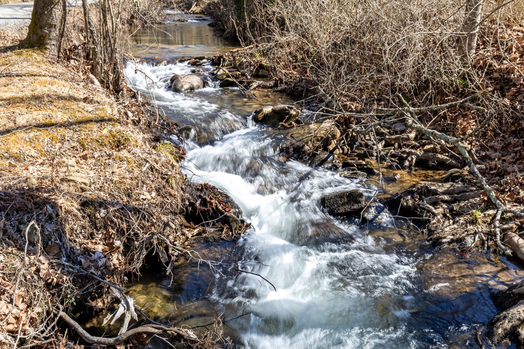 106 Little Rock Creek Road Cherry Log, GA 30522 - Photo 45 of 95