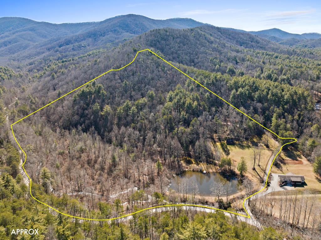 106 Little Rock Creek Road Cherry Log, GA 30522 - Photo 54 of 95 a view of a house with a mountain and trees in the background
