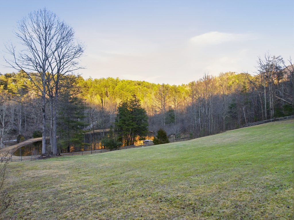 106 Little Rock Creek Road Cherry Log, GA 30522 - Photo 6 of 95