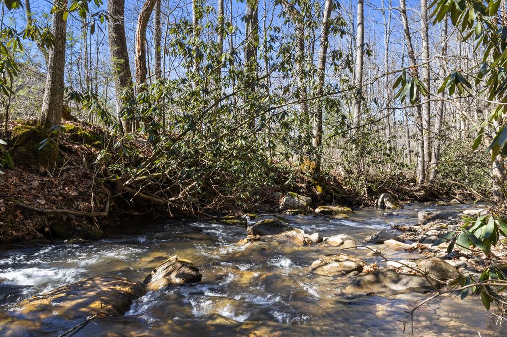 106 Little Rock Creek Road Cherry Log, GA 30522 - Photo 91 of 95