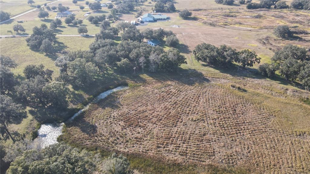 7223 South W 55 Street Bushnell, FL 33513 - Photo 37 of 70 a view of a dry yard with trees