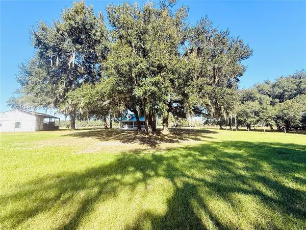 a view of outdoor space and yard