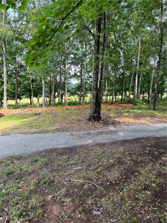 386 Mountain View Church Road Pickens, SC 29671 - Photo 20 of 21 Side yard