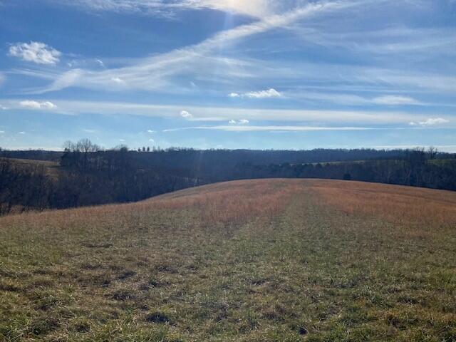 2775 Bridgeville Road Brooksville, KY 41004 - Photo 1 of 9 Gallery Image 1