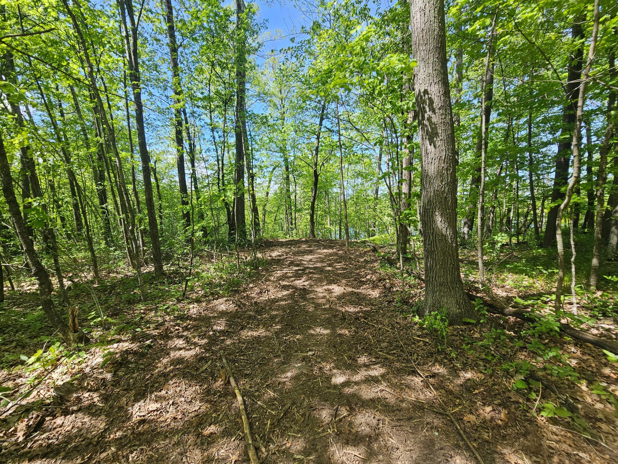 Tbd Tract B Tbd Tract B Swanson Road Deerwood, MN 56444 - Photo 7 of 11