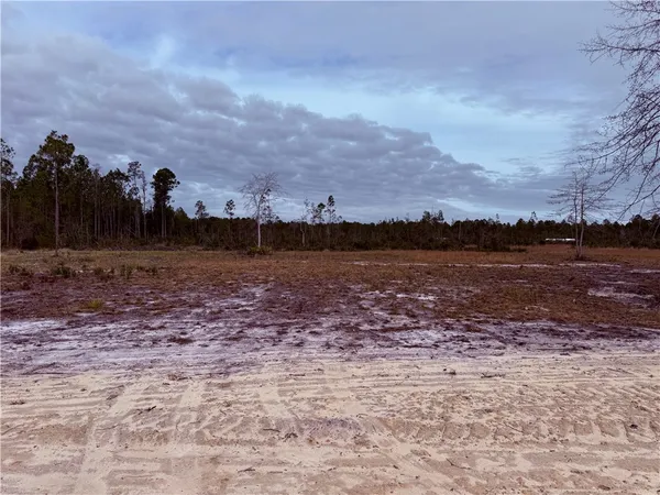 $35,000 | Lot 10 Wiregrass Lane, Unit 10, Waycross, GA 31503