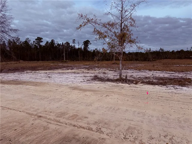 $35,000 | Lot 10 Wiregrass Lane, Unit 10, Waycross, GA 31503