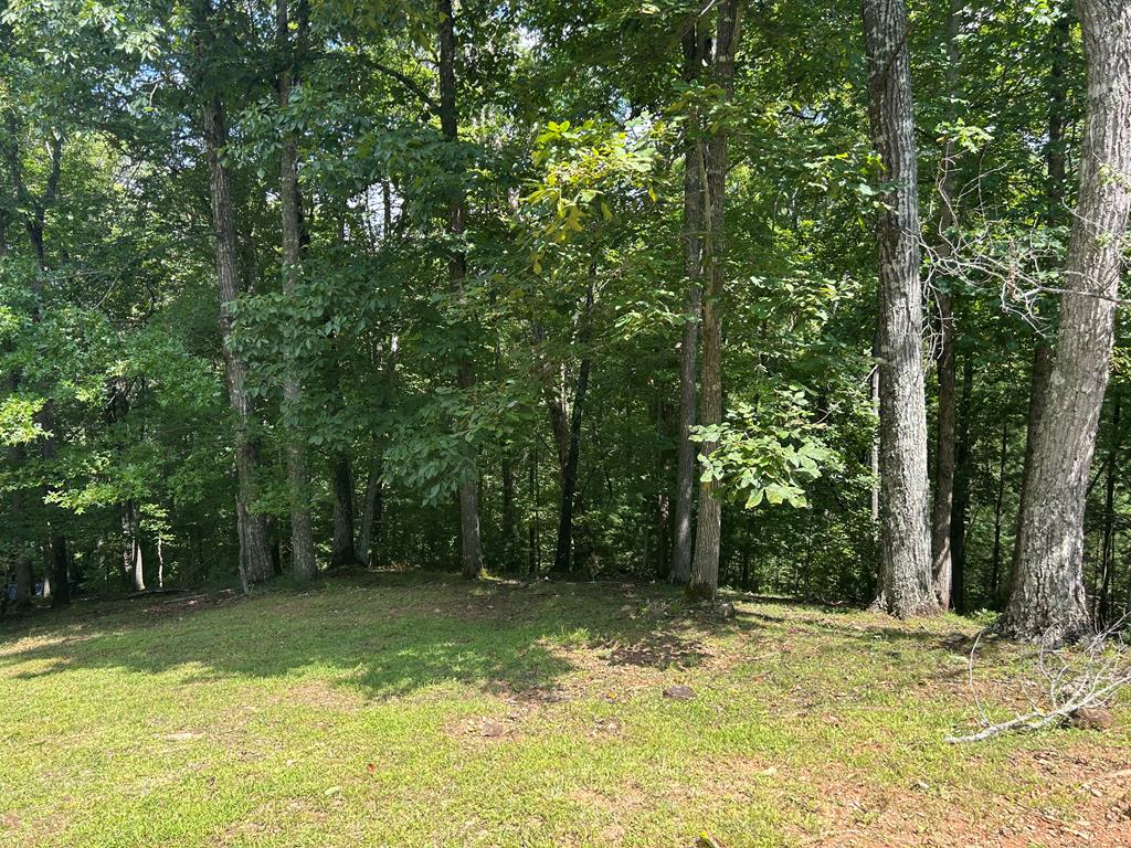 19 Bitter Creek Road Blairsville, GA 30512 - Photo 1 of 8 a view of a yard with trees