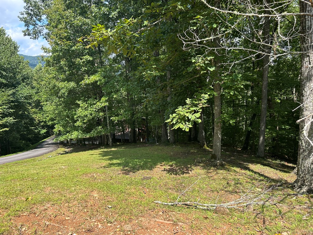 19 Bitter Creek Road Blairsville, GA 30512 - Photo 5 of 8 a view of a backyard