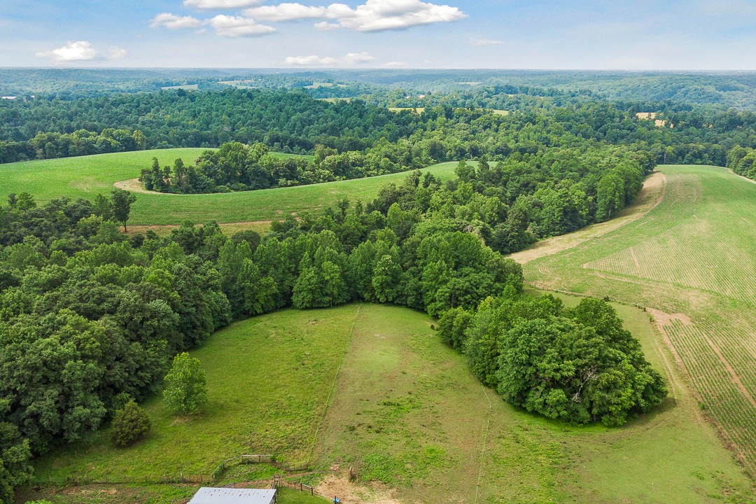 795 Owens Road Lafayette, TN 37083 - Photo 6 of 50 a view of a big yard with potted plants and large tree