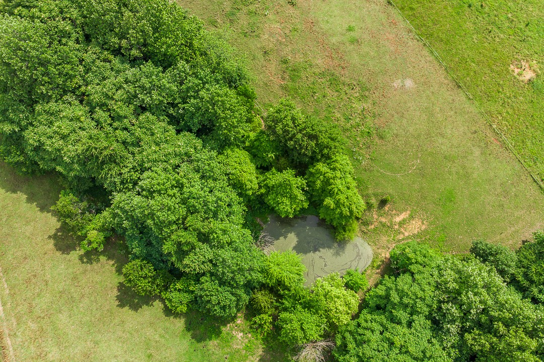 795 Owens Road Lafayette, TN 37083 - Photo 9 of 50 a view of a garden