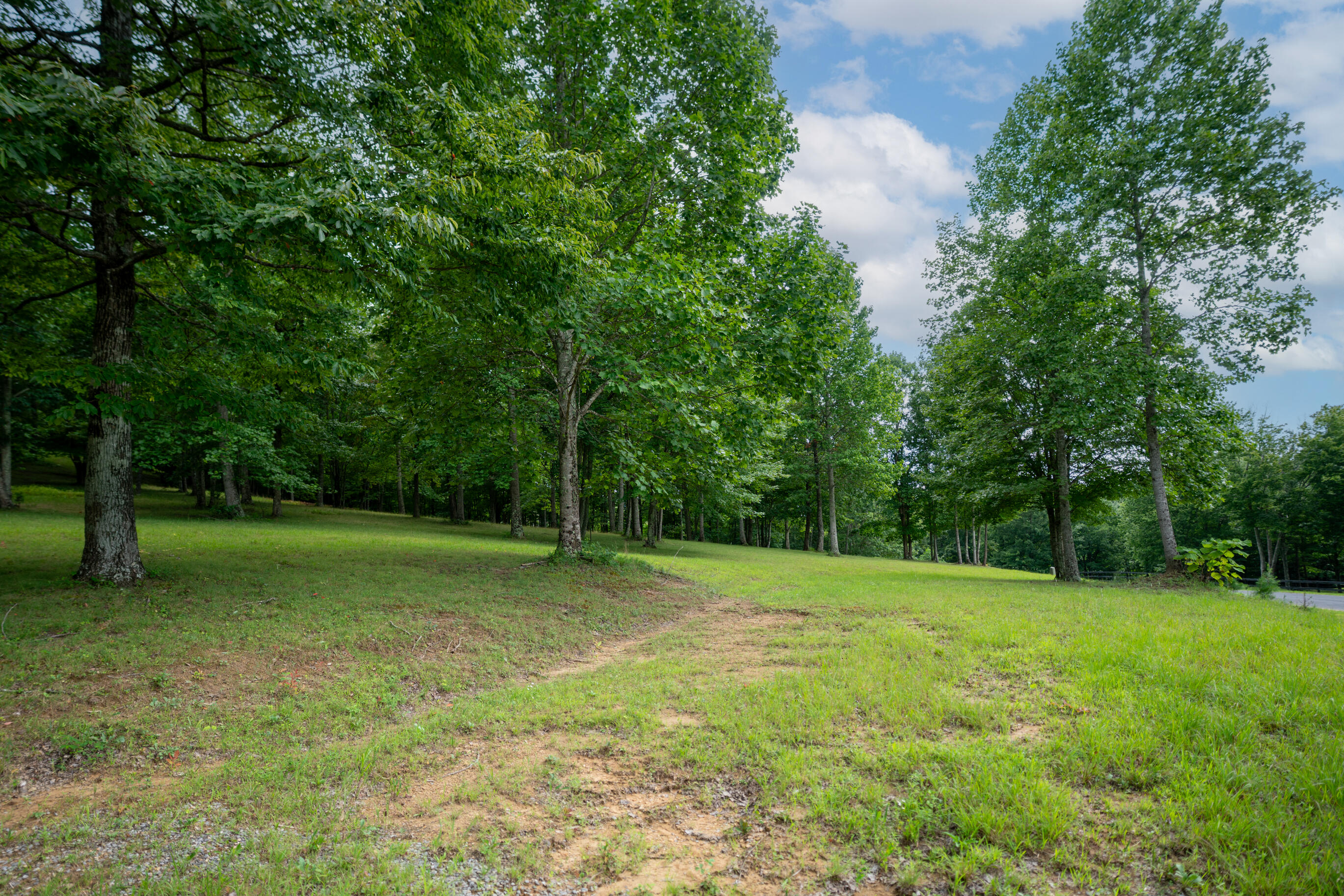 243 Roaring Creek Road Dunlap, TN 37327 - Photo 11 of 27 _DSC2466-Edit