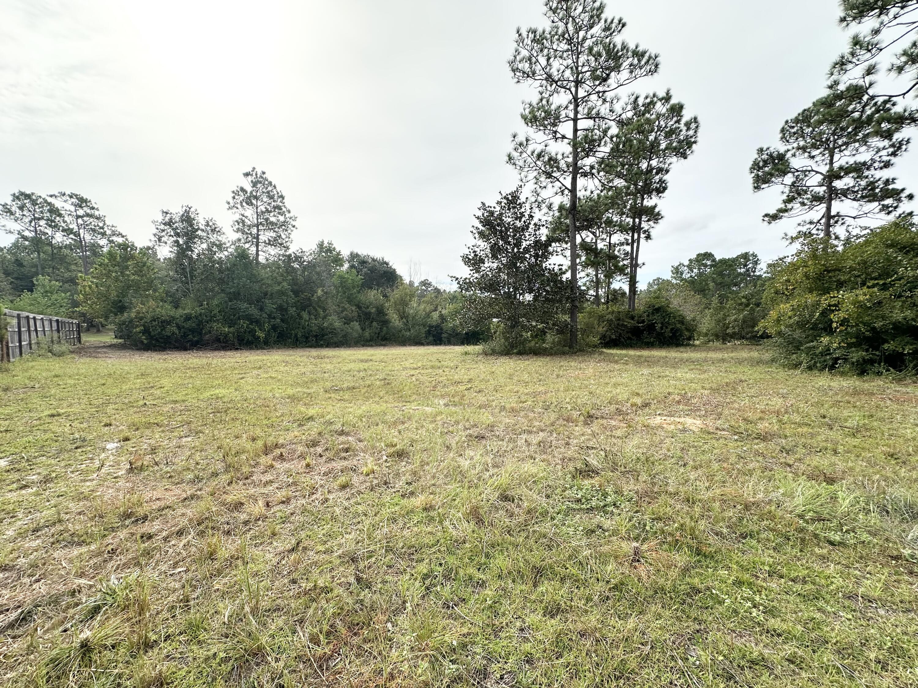 2877 King Lake Road DeFuniak Springs, FL 32433 - Photo 14 of 25 IMG_7011