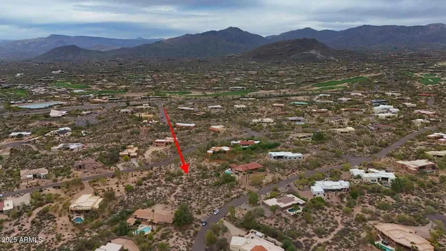 a view of a forest with a tree