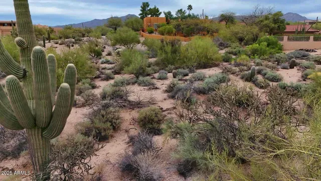 a black and white photo of a lake