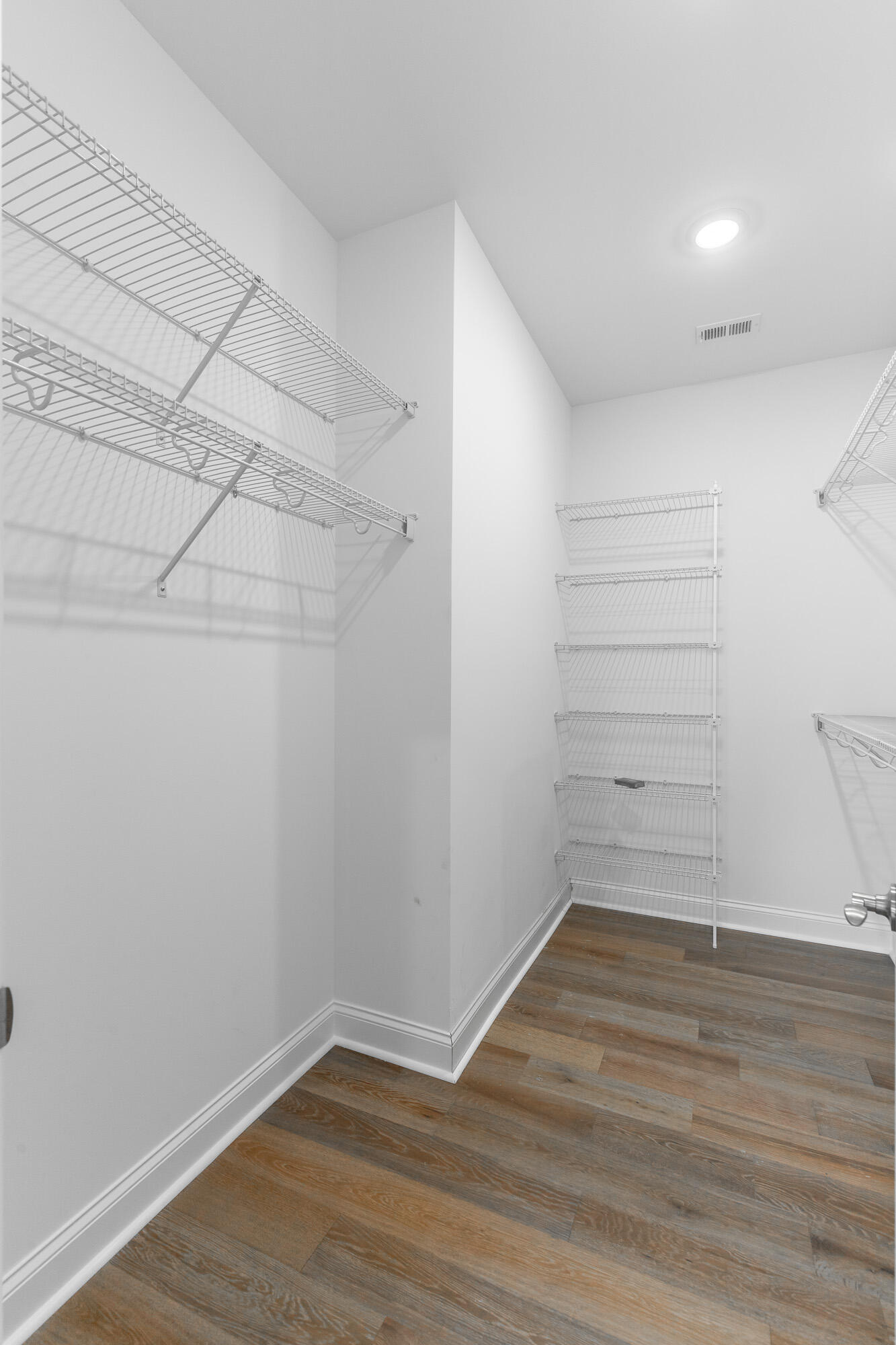 1037 Silverpine Drive Chattanooga, TN 37421 - Photo 35 of 59 Primary Closet