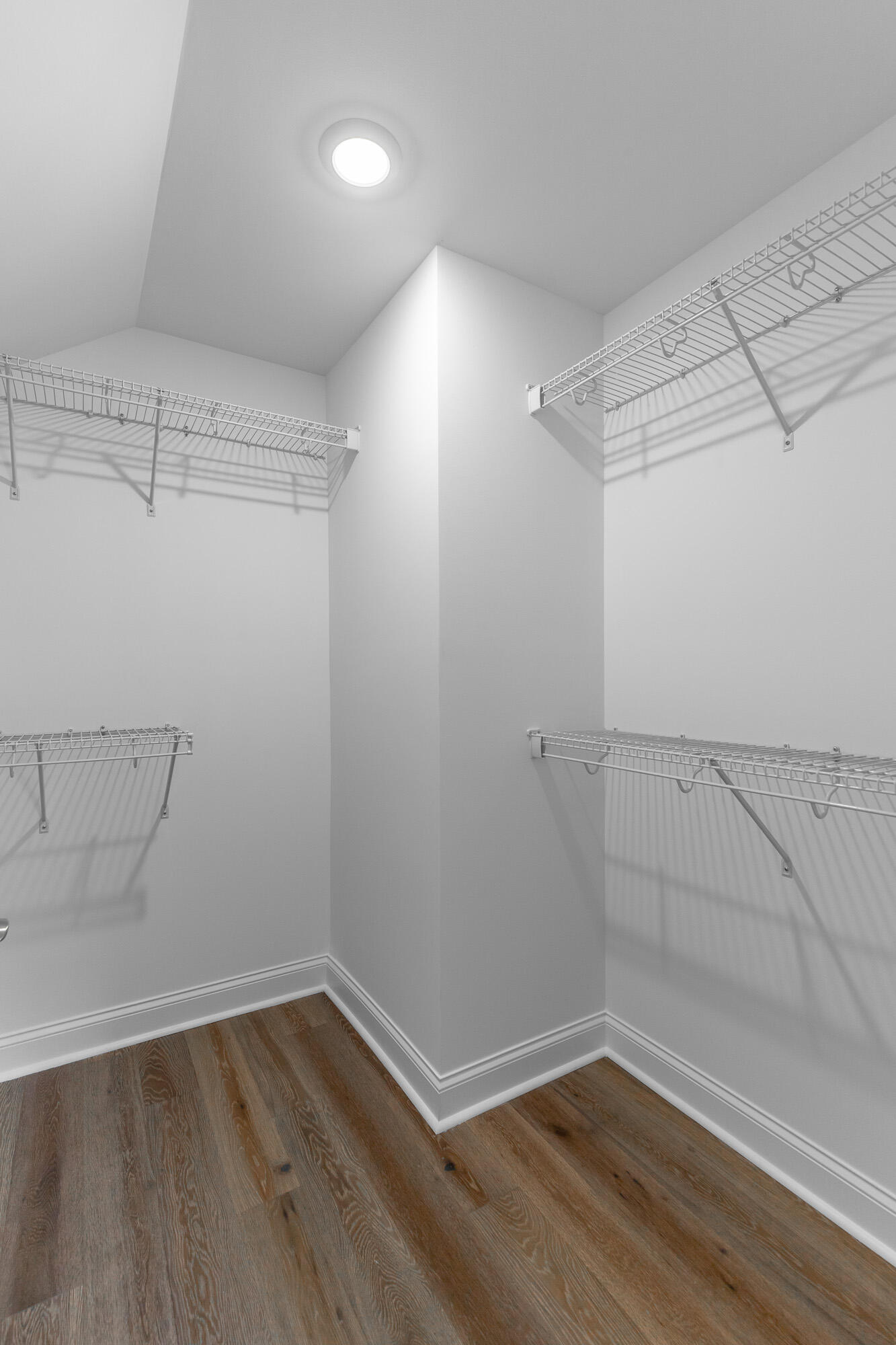 1037 Silverpine Drive Chattanooga, TN 37421 - Photo 41 of 59 Walk in Closet