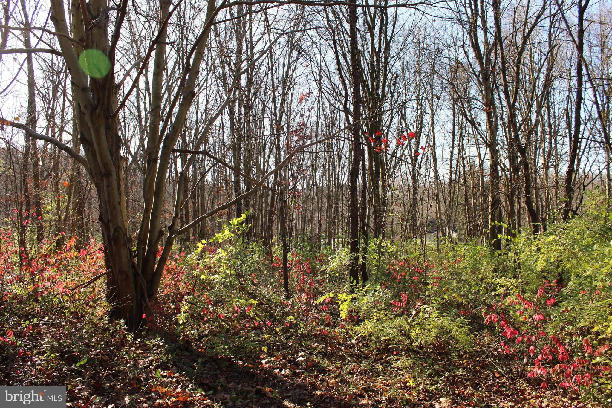 0 Robin Trail Delta, PA 17314 - Photo 2 of 13 View of Land