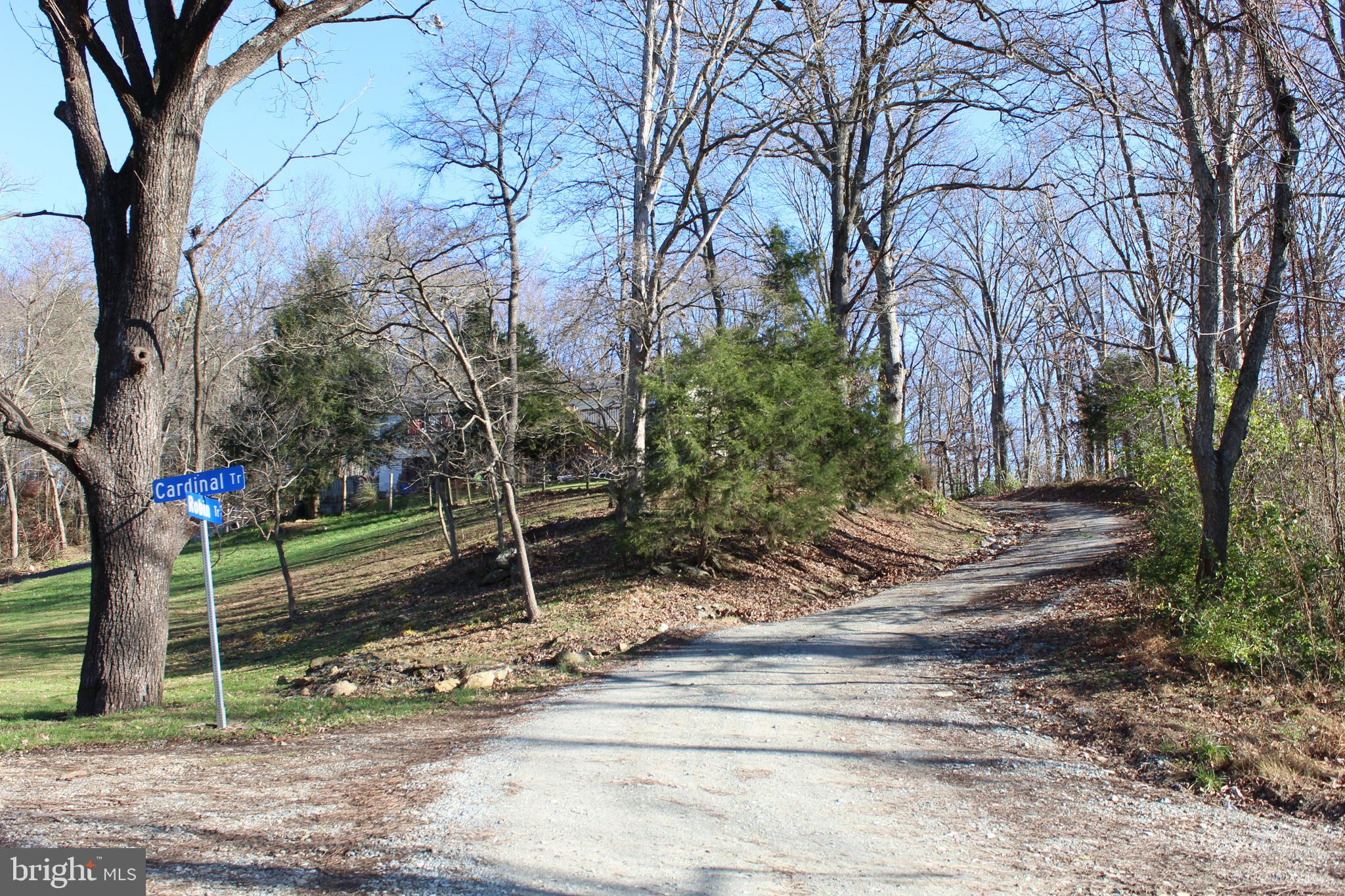 0 Robin Trail Delta, PA 17314 - Photo 11 of 13 Road coming up to land