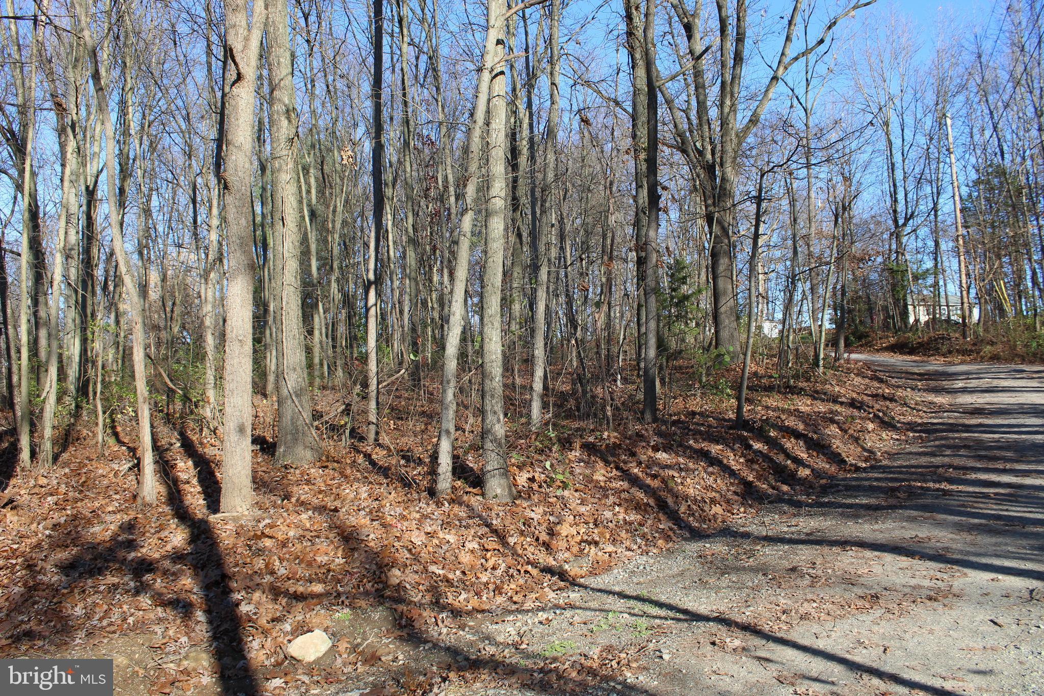 0 Robin Trail Delta, PA 17314 - Photo 3 of 13 Road and land to the left