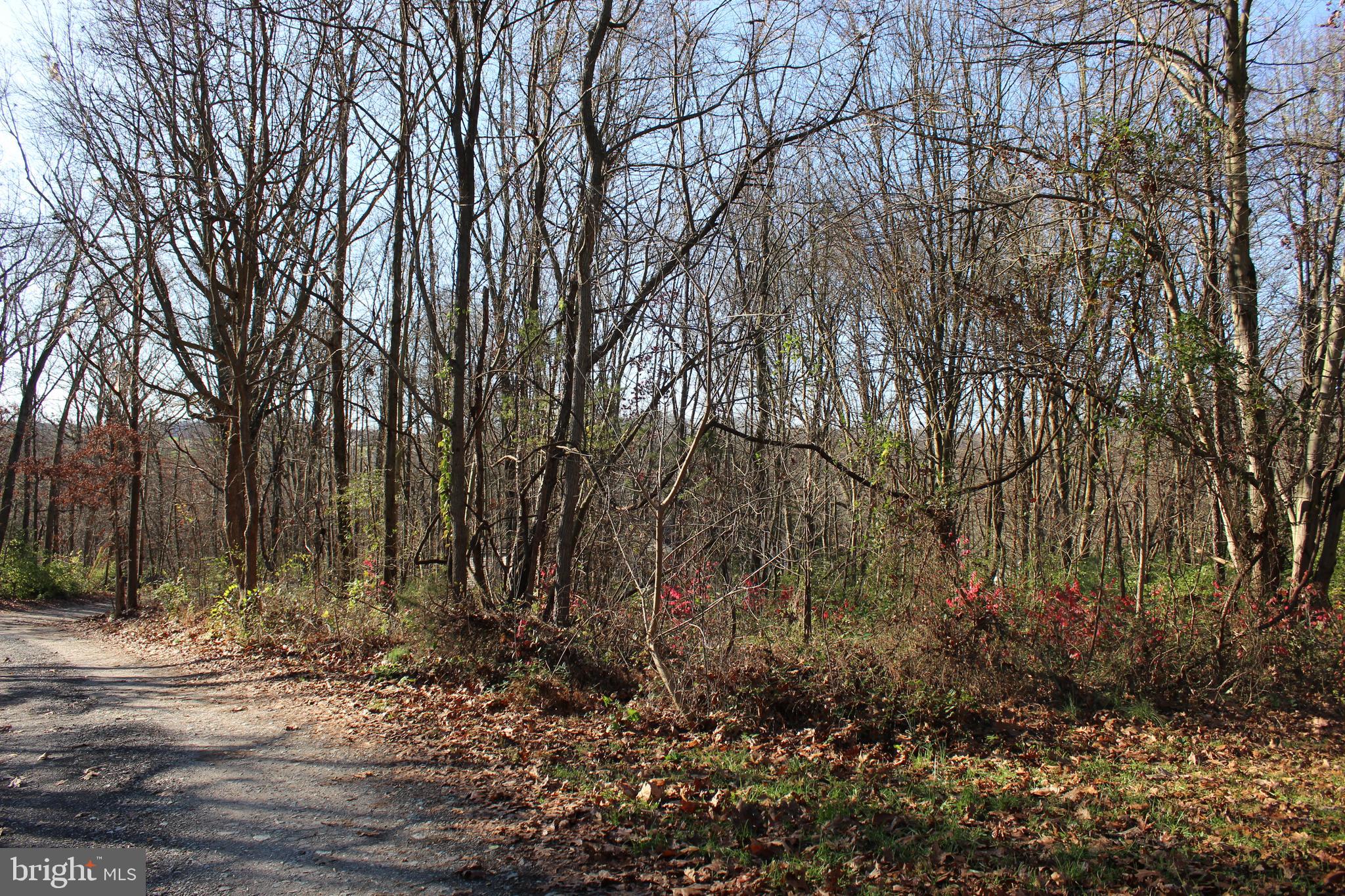 0 Robin Trail Delta, PA 17314 - Photo 4 of 13 Road and land to the right