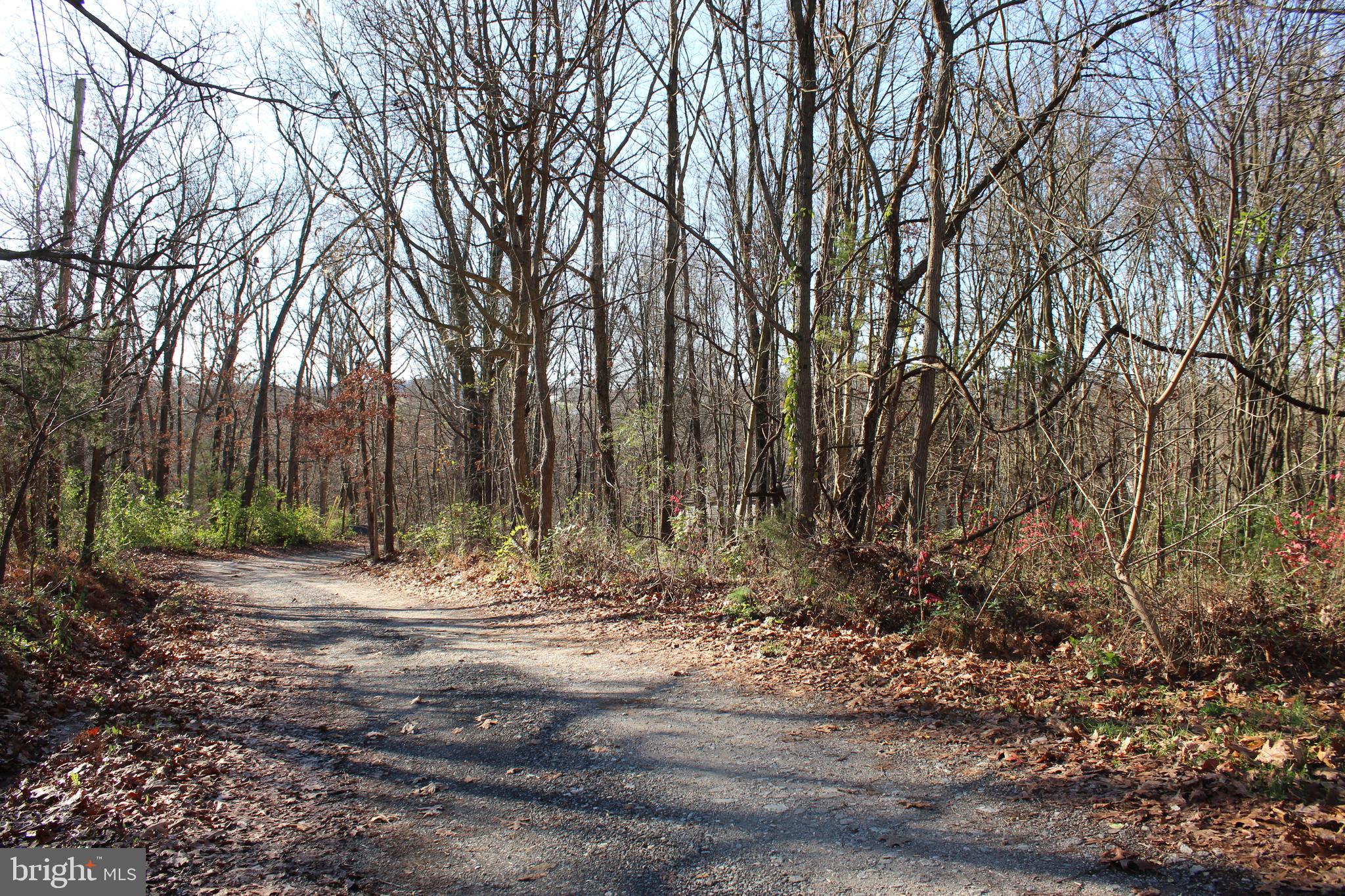 0 Robin Trail Delta, PA 17314 - Photo 5 of 13 Land to the right