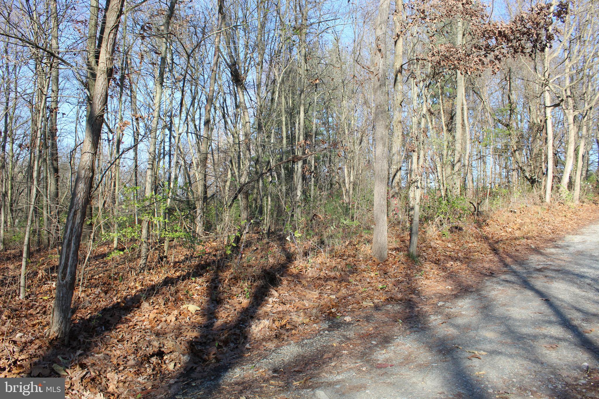 0 Robin Trail Delta, PA 17314 - Photo 6 of 13 Land to the left