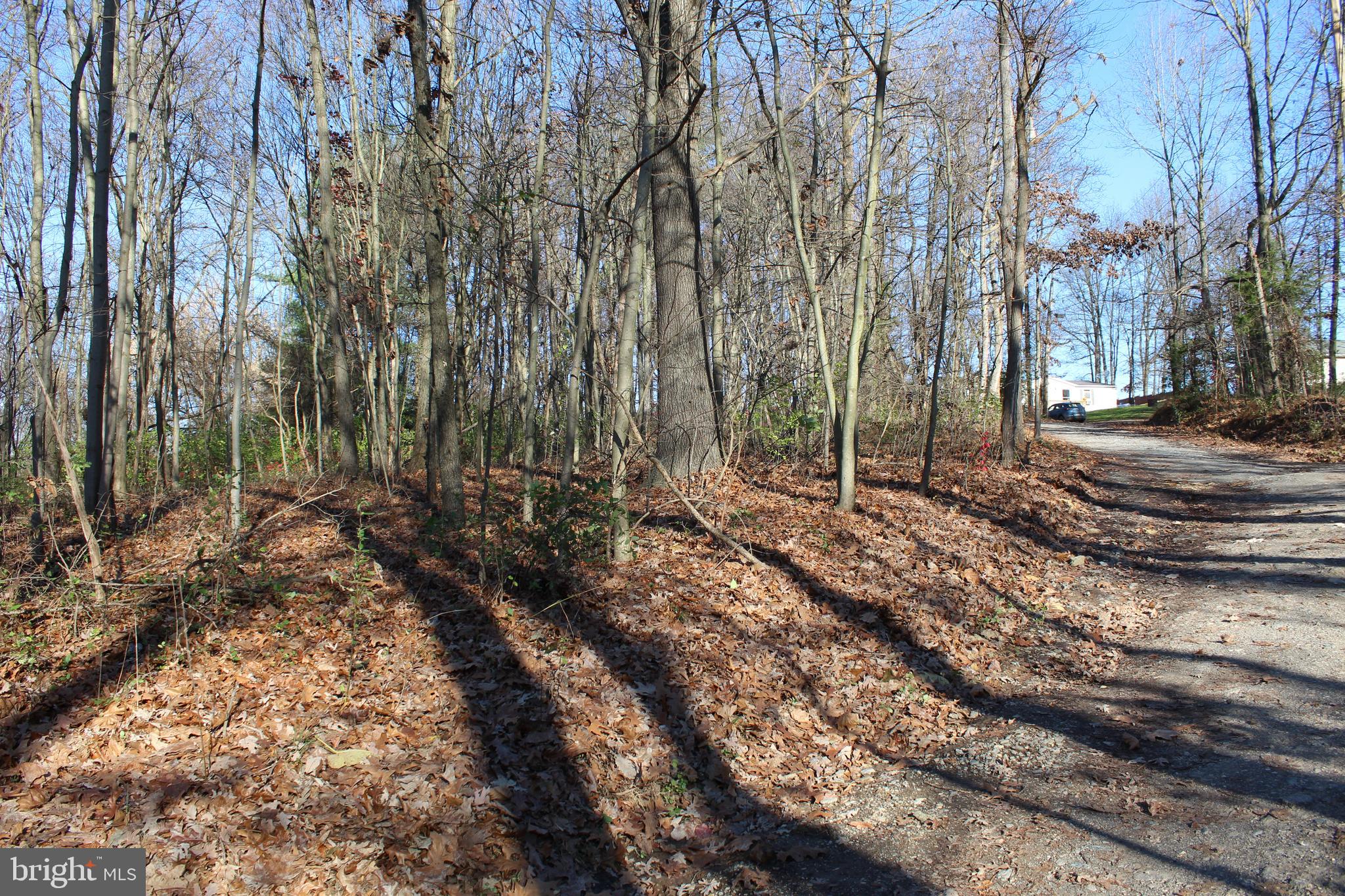 0 Robin Trail Delta, PA 17314 - Photo 8 of 13 Land to the left