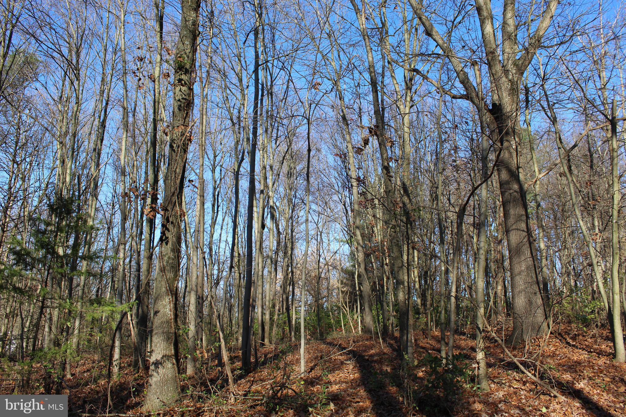 0 Robin Trail Delta, PA 17314 - Photo 9 of 13 Land