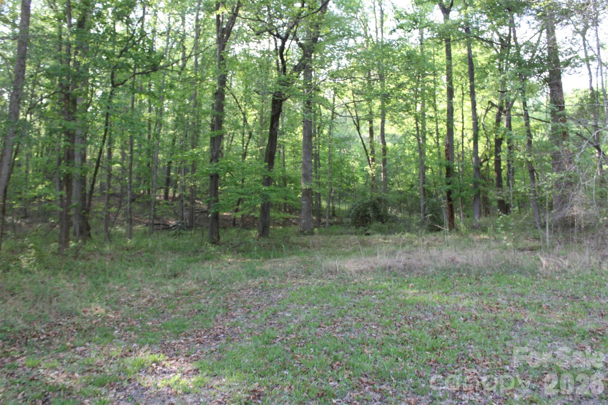 Tbd Austin Traphill Road Elkin, NC 28621 - Photo 3 of 14 Gallery Image 3