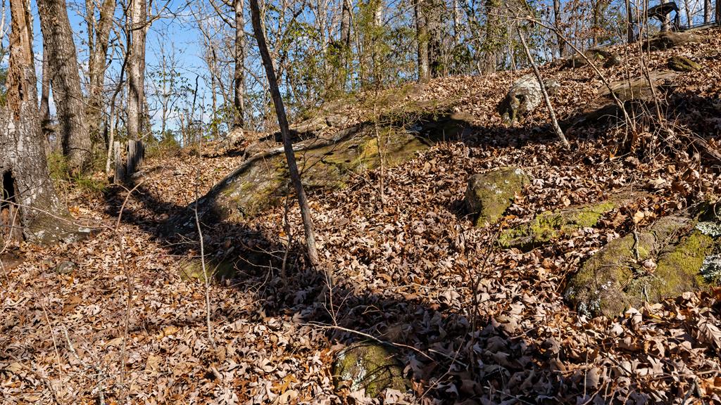 606 Herman Bell Road Mauk, GA 31058 - Photo 48 of 59 Gallery Image 48
