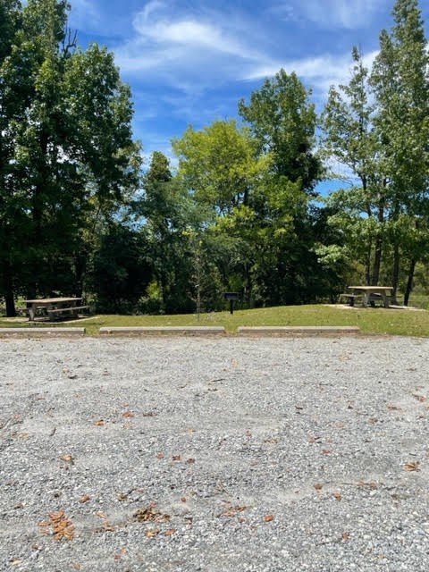 24 Briar Creek Road Pittsview, AL 36871 - Photo 33 of 43 Hatchechubbee Creek Park