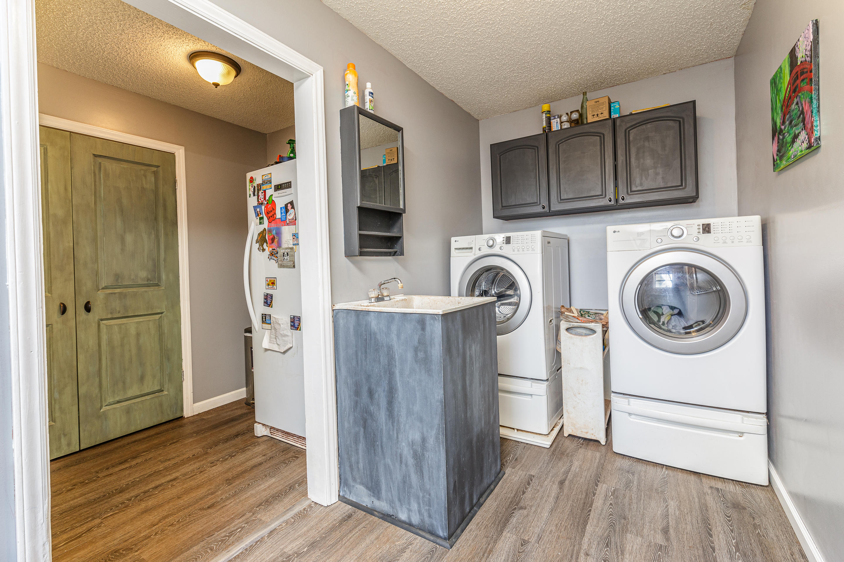 3625 Brooks Road Greenback, TN 37742 - Photo 14 of 18 laundry