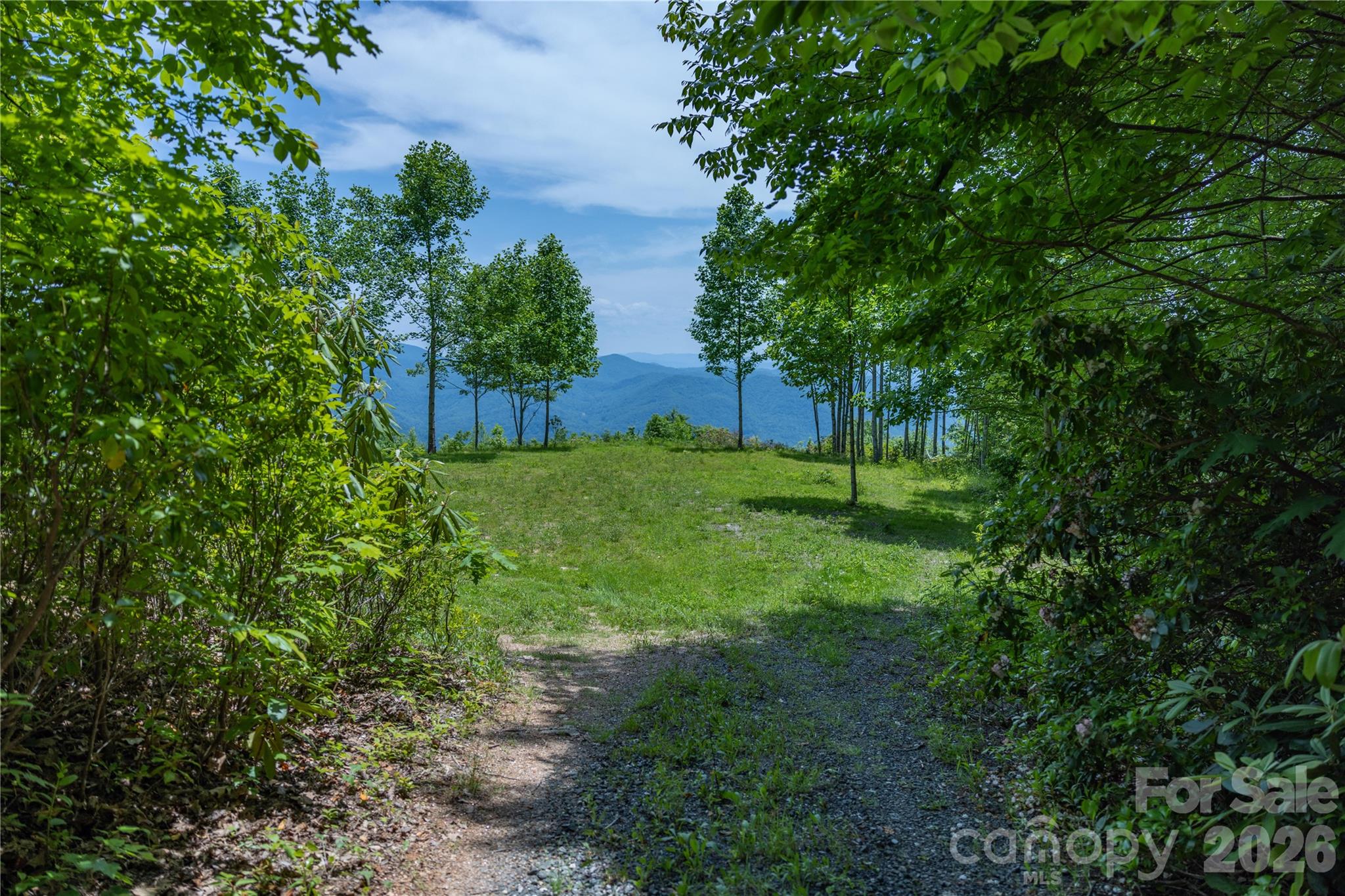 3409 Parris Branch Road Sylva, NC 28779 - Photo 5 of 19