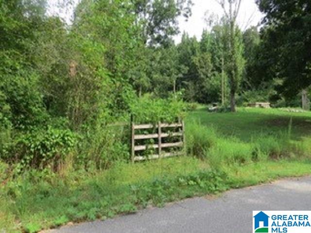1980 Dripping Rock Road, Unit 20 50 AC Piedmont, AL 36272 - Photo 10 of 19