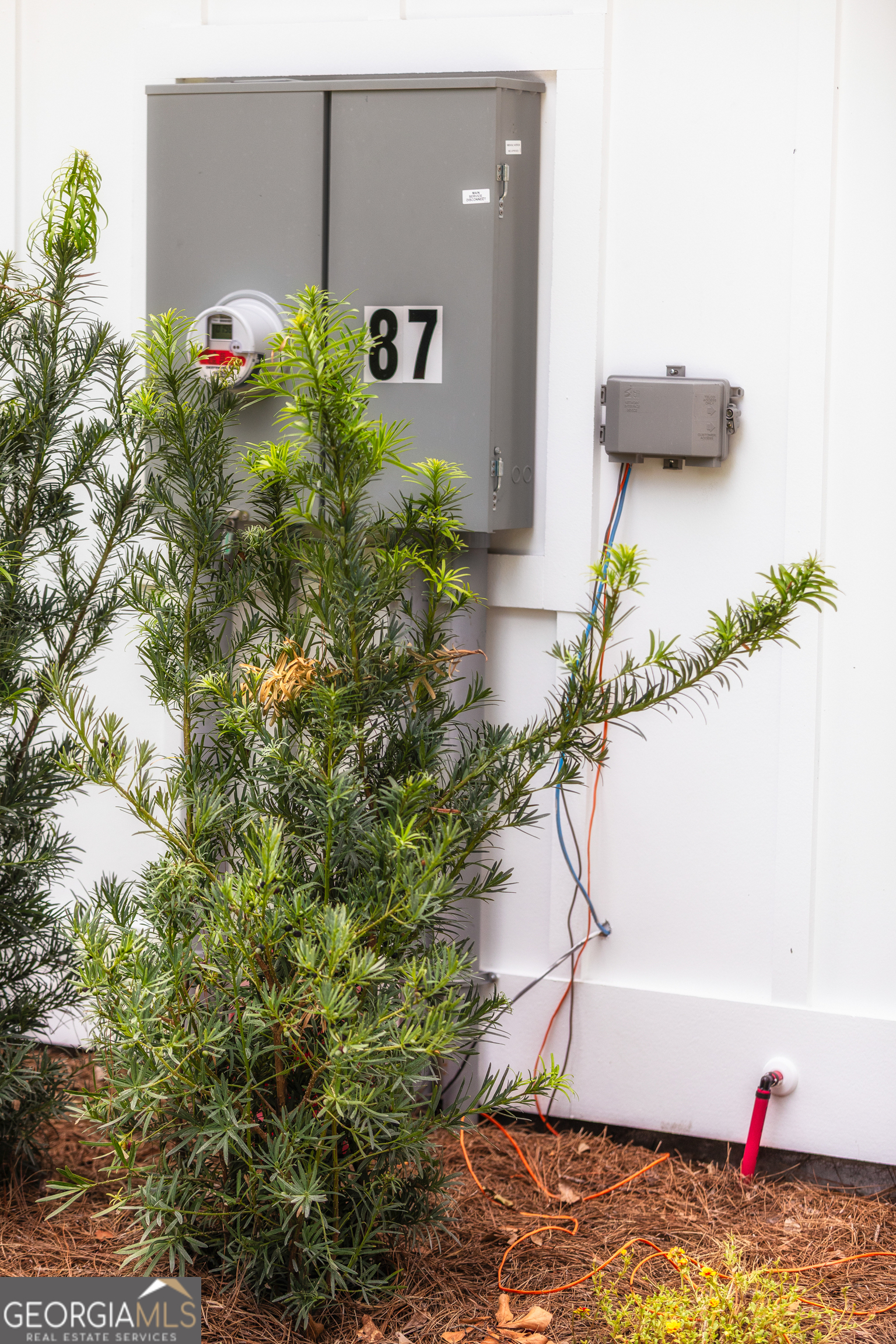 87 Lighthouse Way Woodbine, GA 31569 - Photo 93 of 116 a vase of flowers sitting on a floor