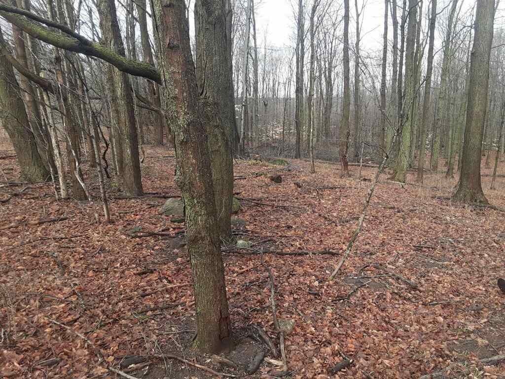 38-acres East Hazel Road Mears, MI 49436 - Photo 3 of 12