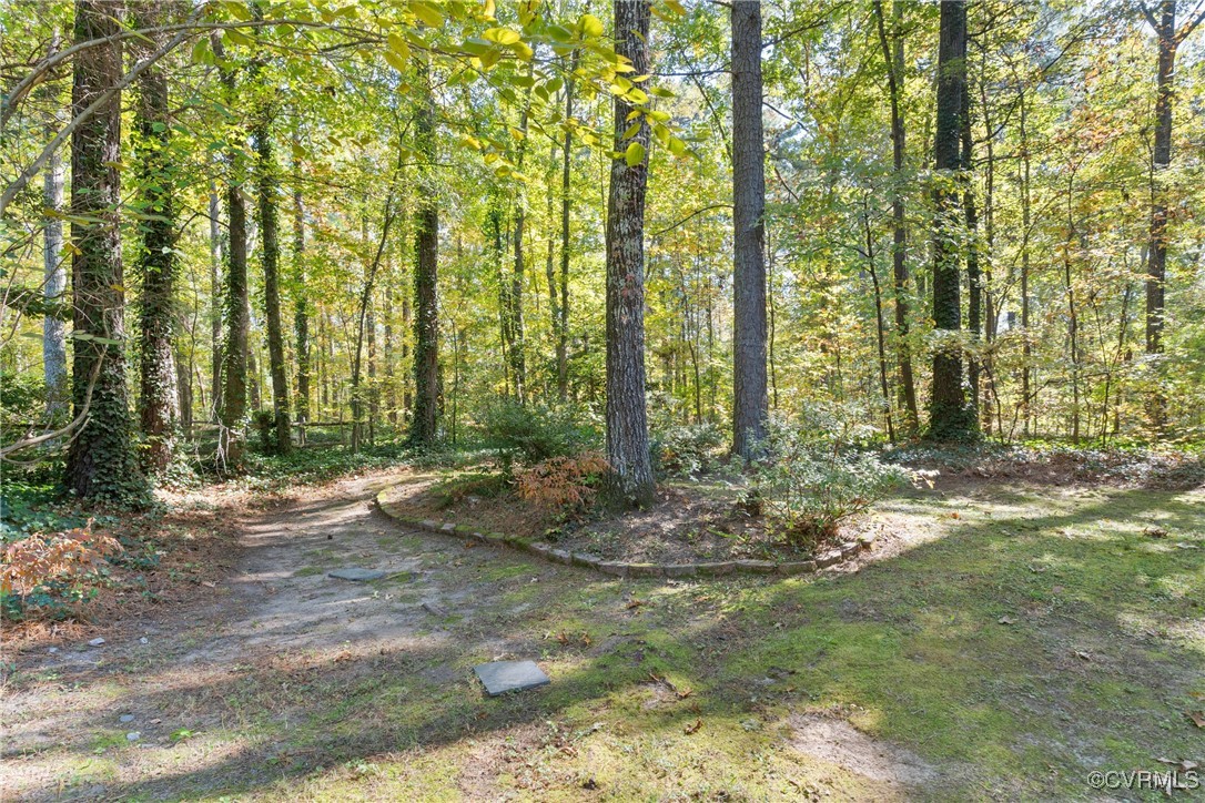 14310 Long Gate Road Midlothian, VA 23112 - Photo 27 of 31 a backyard of a house with lots of green space