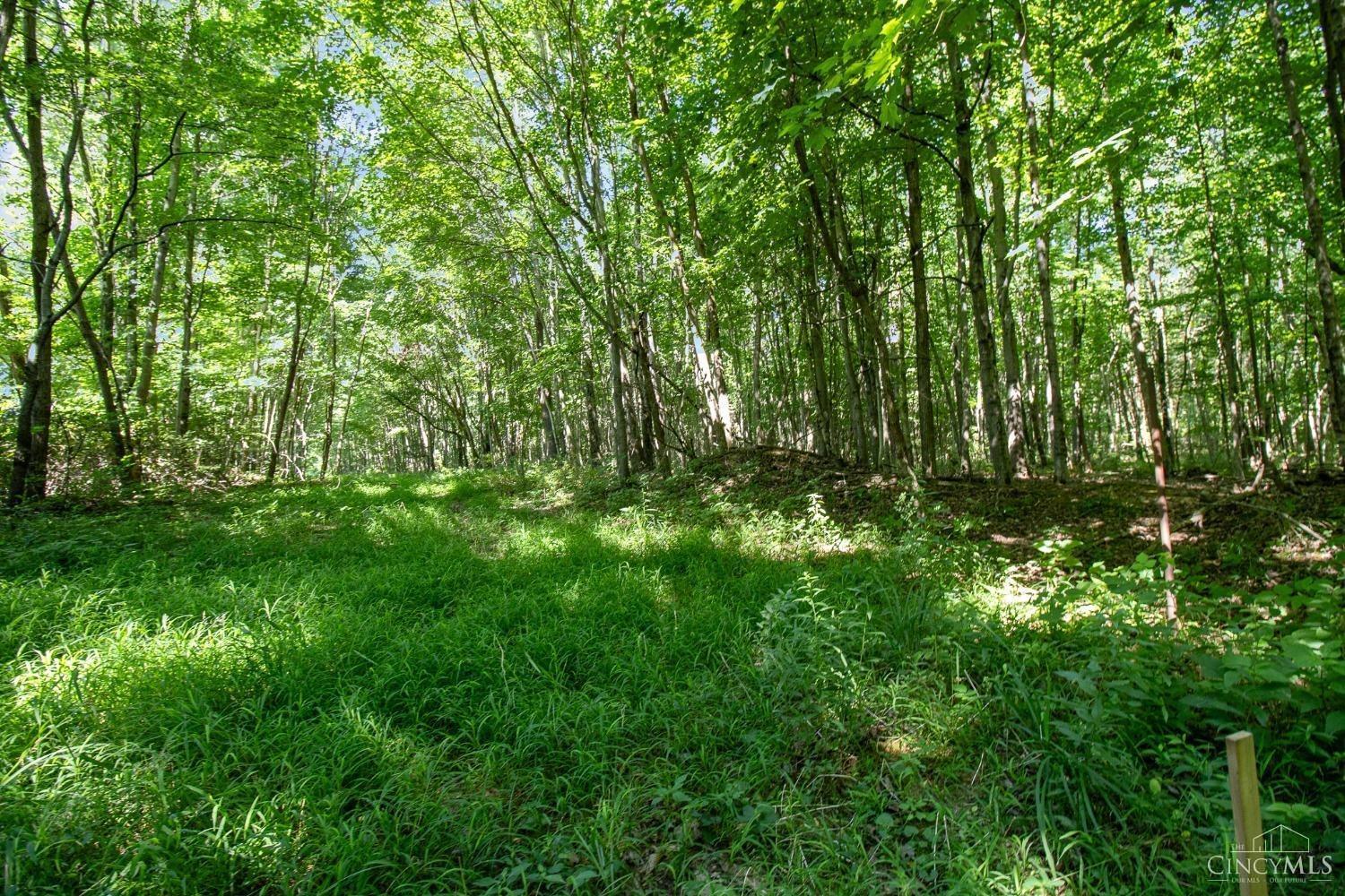 Lot A Linton Road Goshen, OH 45122 - Photo 3 of 10 Gallery Image 3