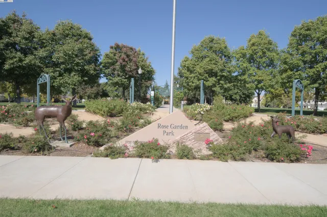 a view of a backyard with potted plants and large trees