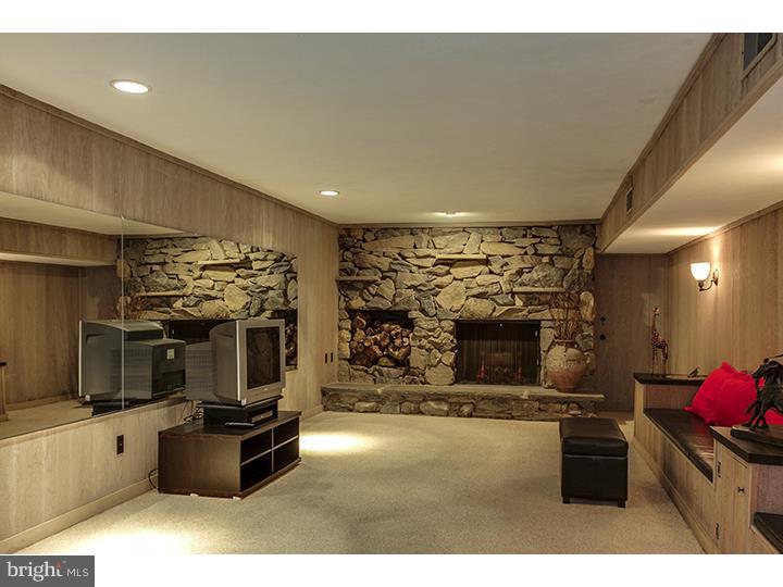 119 Tunbridge Road Haverford, PA 19041 - Photo 18 of 23 Fireplace