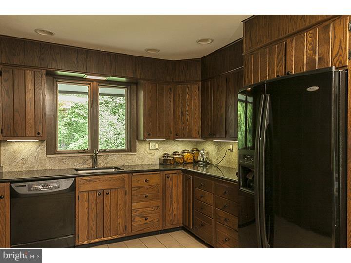 119 Tunbridge Road Haverford, PA 19041 - Photo 9 of 23 Kitchen