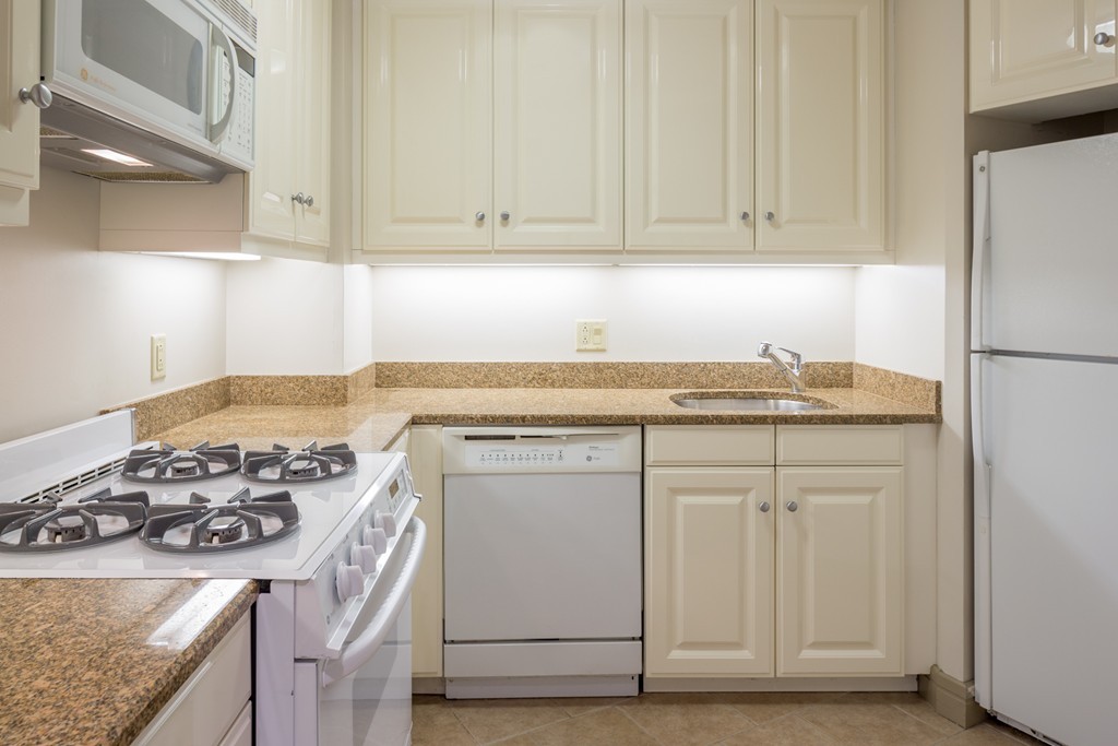 3 Avery Street, Unit 609 Boston, MA 02111 - Photo 4 of 21