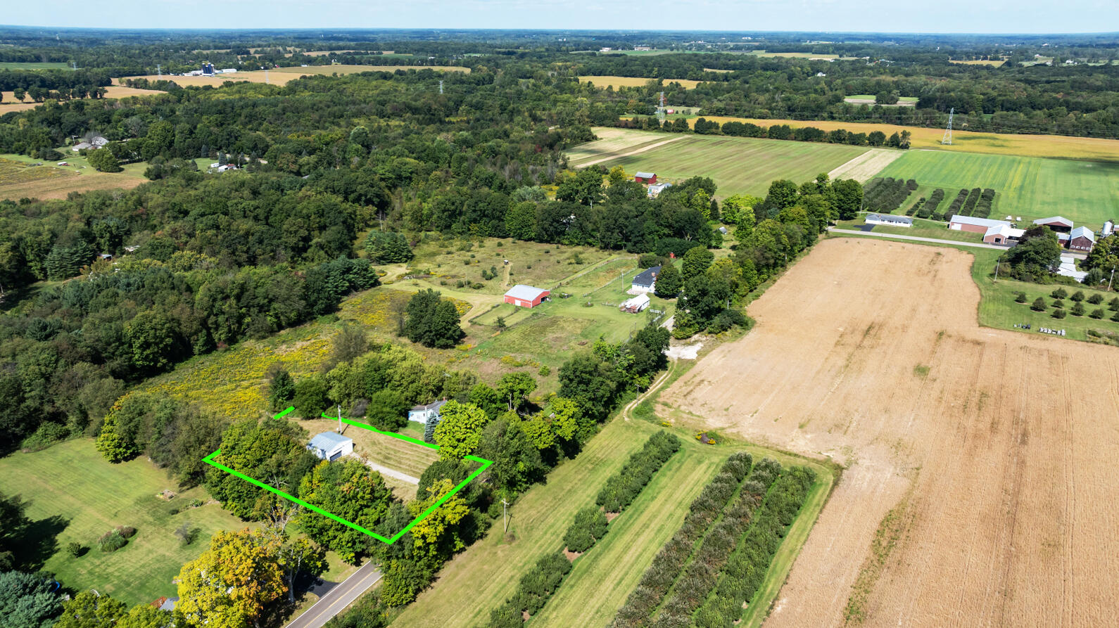 12030 Easton Road Rives Junction, MI 49277 - Photo 6 of 12 12030 Easton Rd Rives Juntion MI (Aerial